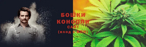 прущие грибы Покровск
