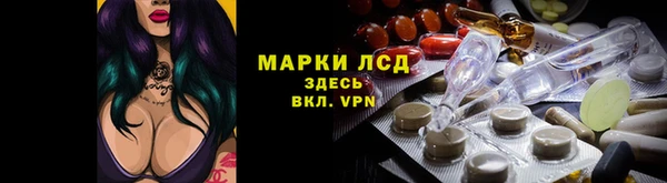 прущие грибы Покровск