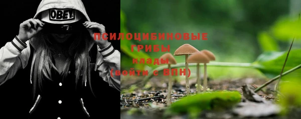 a pvp Покров