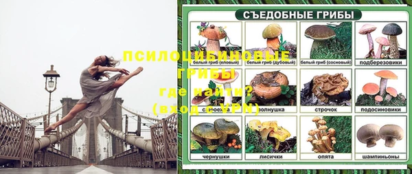 прущие грибы Покровск