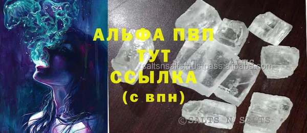 прущие грибы Покровск