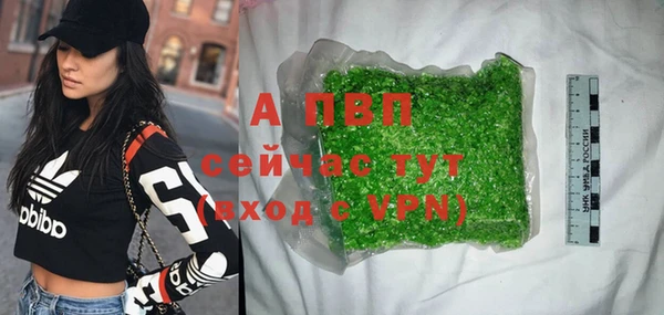 прущие грибы Покровск