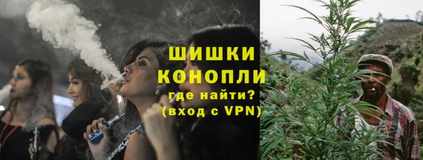 прущие грибы Покровск