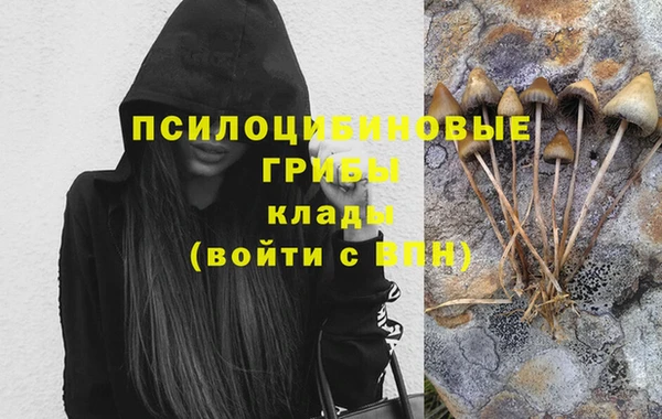 a pvp Покров